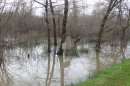 Marais